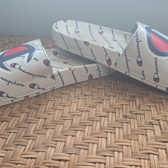 Champion Slides - Picture 4 of 5